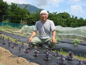 農家　山田さん１.JPG
